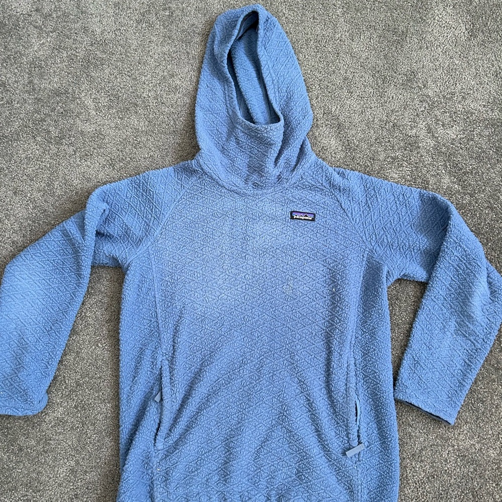 Patagonia Blue Hooded Pullover